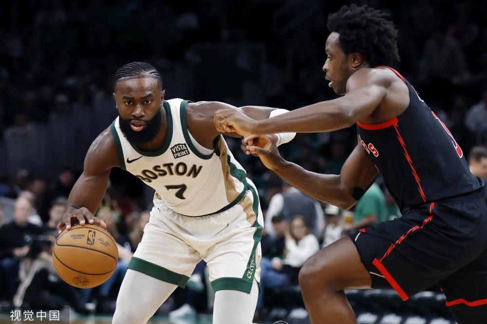 鹈鹕整体防 鹈鹕整体防